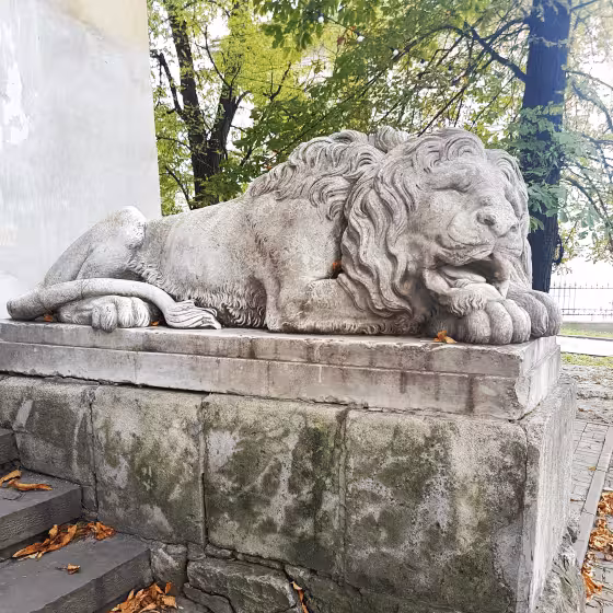 a lion sleeps in lviv